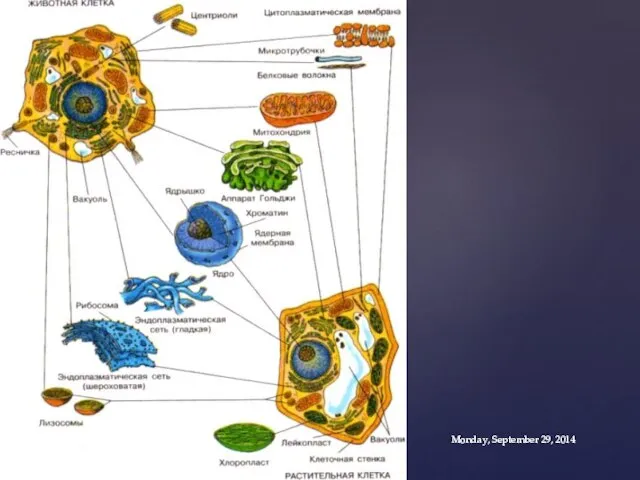 Monday, September 29, 2014