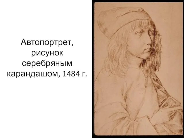 Автопортрет, рисунок серебряным карандашом, 1484 г.