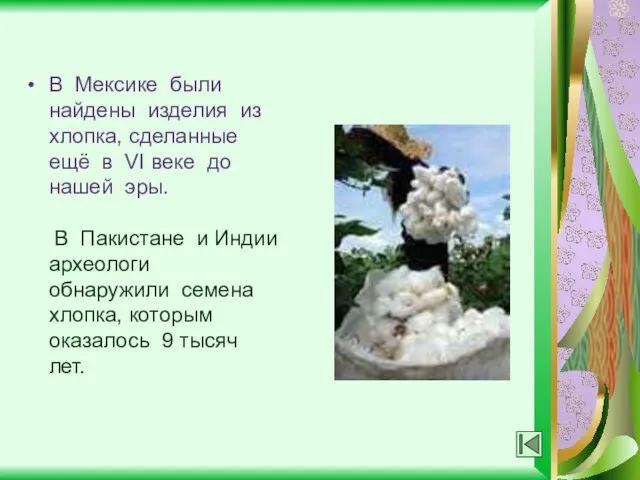 В Мексике были найдены изделия из хлопка, сделанные ещё в VI