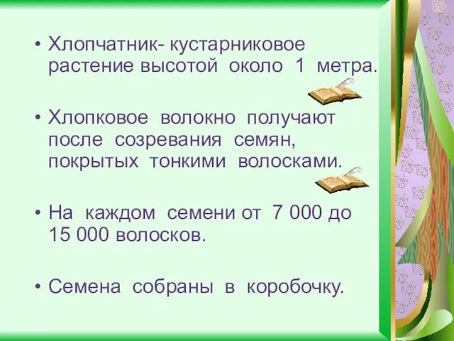 Хлопчатник- кустарниковое растение высотой около 1 метра. Хлопковое волокно получают после