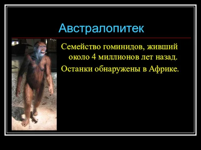 Австралопитек Семейство гоминидов, живший около 4 миллионов лет назад. Останки обнаружены в Африке.