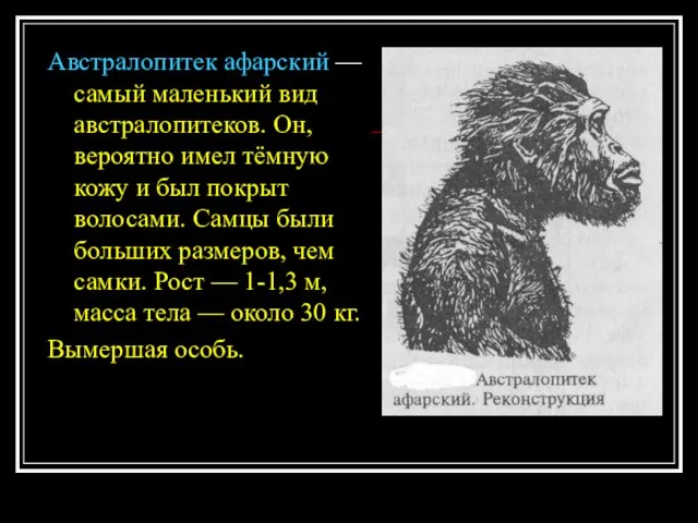 Австралопитек афарский — самый маленький вид австралопитеков. Он, вероятно имел тёмную