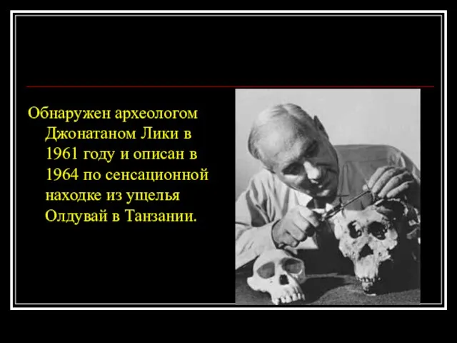 Обнаружен археологом Джонатаном Лики в 1961 году и описан в 1964