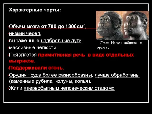 Характерные черты: Объем мозга от 700 до 1300см3, низкий череп, выраженные