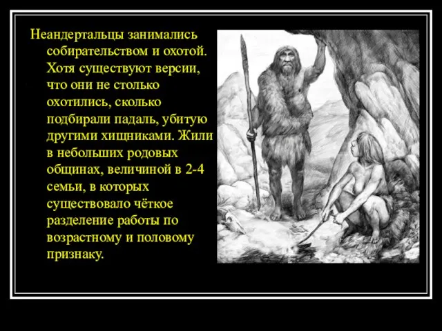 Неандертальцы занимались собирательством и охотой. Хотя существуют версии, что они не