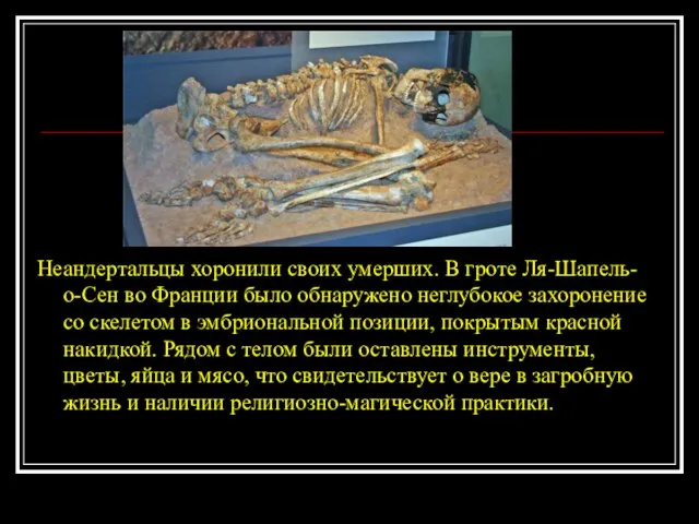 Неандертальцы хоронили своих умерших. В гроте Ля-Шапель-о-Сен во Франции было обнаружено