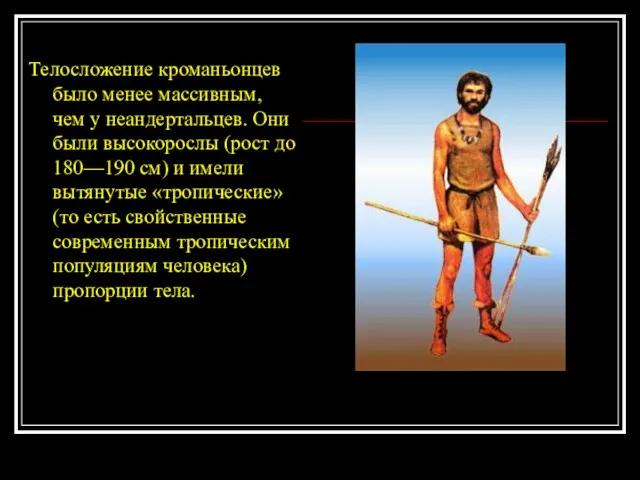 Телосложение кроманьонцев было менее массивным, чем у неандертальцев. Они были высокорослы