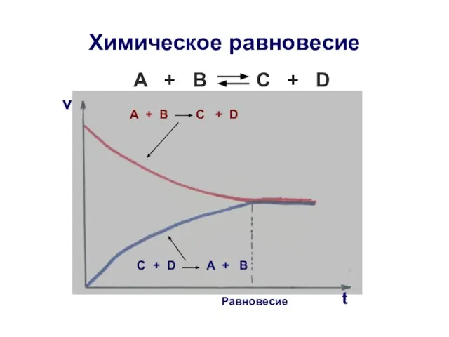 Химическое равновесие A + B C + D А + В