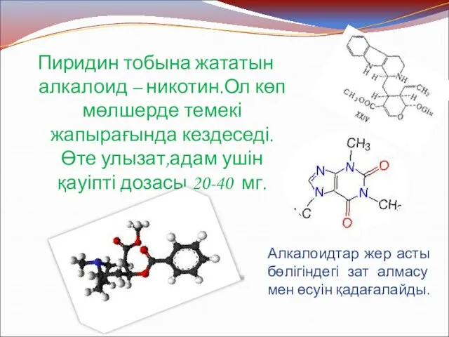 Пиридин тобына жататын алкалоид – никотин.Ол көп мөлшерде темекі жапырағында кездеседі.Өте