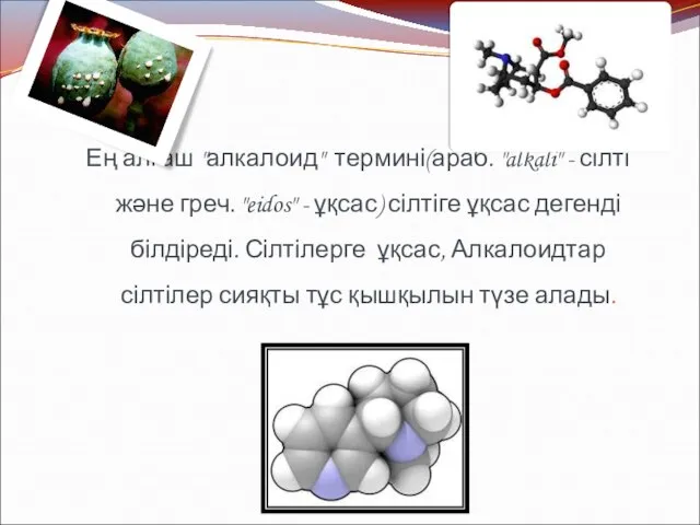 Ең алғаш "алкалоид" термині(араб. "alkali" - сілті және греч. "eidos" -