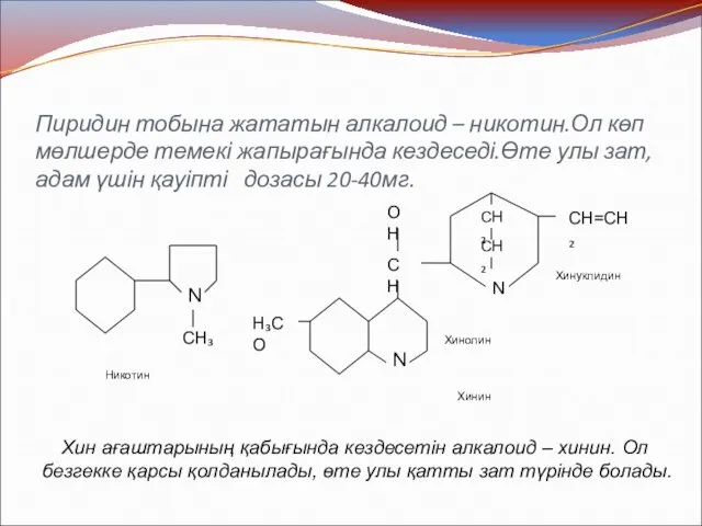 Пиридин тобына жататын алкалоид – никотин.Ол көп мөлшерде темекі жапырағында кездеседі.Өте