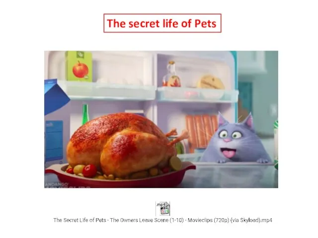 The secret life of Pets
