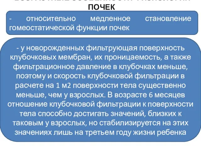 ВОЗРАСТНЫЕ ОСОБЕННОСТИ ФИЗИОЛОГИИ ПОЧЕК - относительно медленное становление гомеостатической функции почек