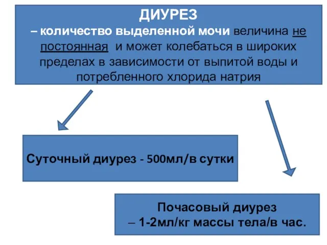 ДИУРЕЗ – количество выделенной мочи величина не постоянная и может колебаться