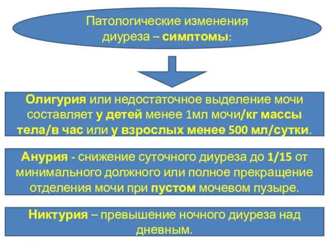 Патологические изменения диуреза – симптомы: Олигурия или недостаточное выделение мочи составляет