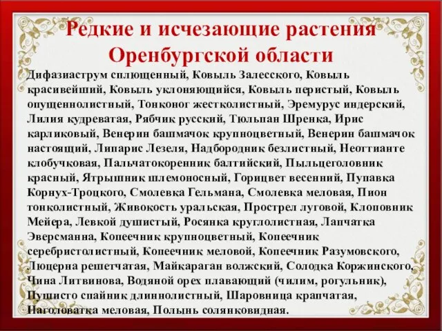 Редкие и исчезающие растения Оренбургской области Дифазиаструм сплющенный, Ковыль Залесского, Ковыль