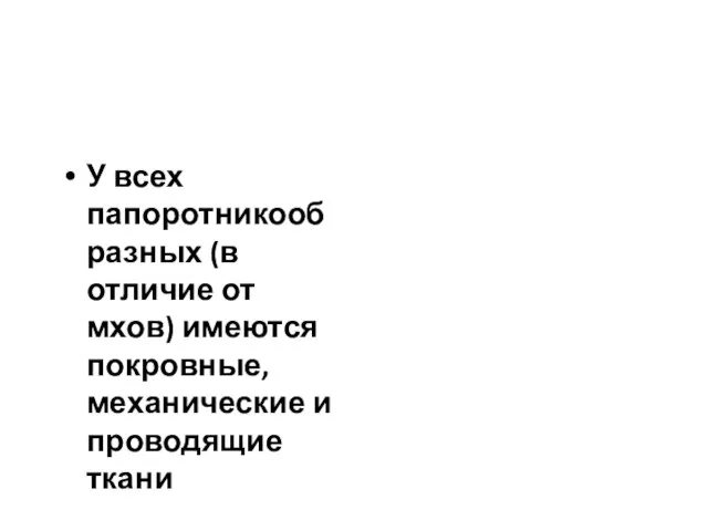 У всех папоротникообразных (в отличие от мхов) имеются покровные, механические и проводящие ткани