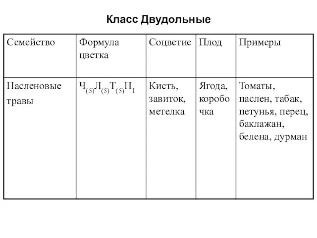 Класс Двудольные