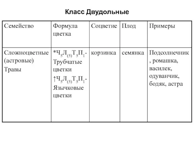 Класс Двудольные