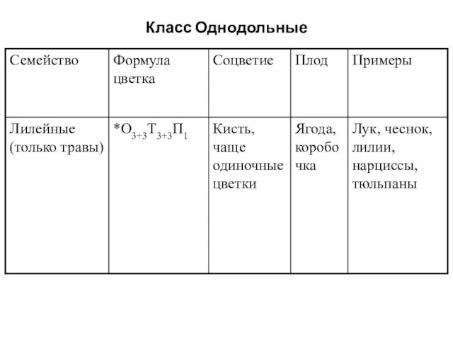 Класс Однодольные