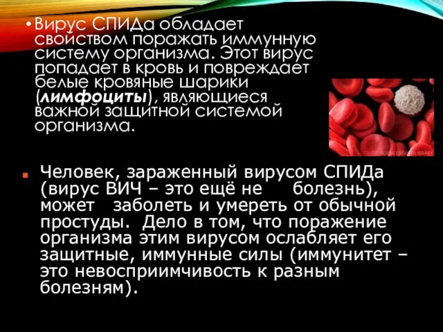 Вирус СПИДа обладает свойством поражать иммунную систему организма. Этот вирус попадает