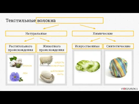 Текстильные волокна Натуральные Химические Растительного происхождения Животного происхождения Искусственные Синтетические хлопок лён шерсть животных шёлковая нить