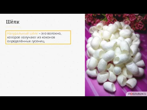 Шёлк Натуральный шёлк – это волокно, которое получают из коконов определённых гусениц.