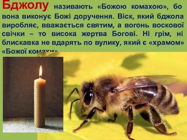 Бджолу називають «Божою комахою», бо вона виконує Божі доручення. Віск, який