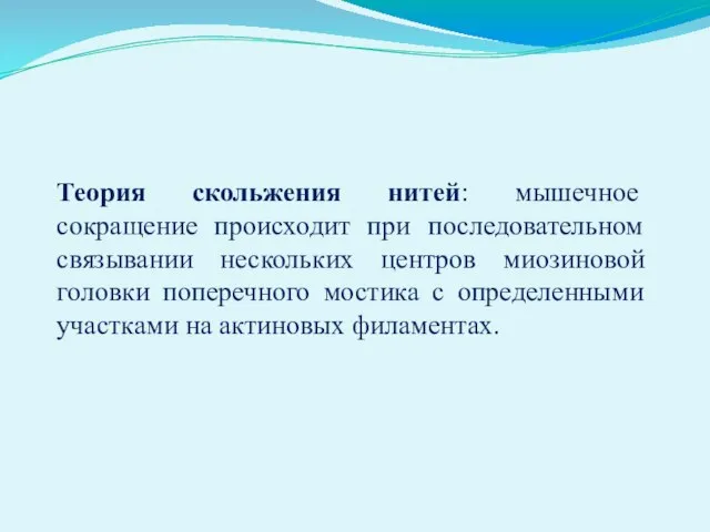 Теория скольжения нитей: мышечное сокращение происходит при последовательном связывании нескольких центров