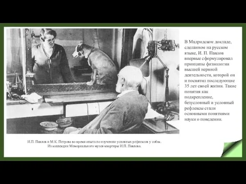 В Мадридском докладе, сделанном на русском языке, И. П. Павлов впервые