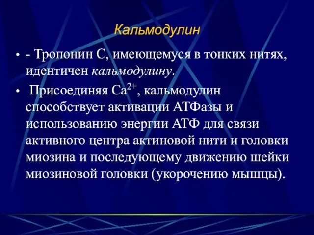 Кальмодулин - Тропонин С, имеющемуся в тонких нитях, идентичен кальмодулину. Присоединяя