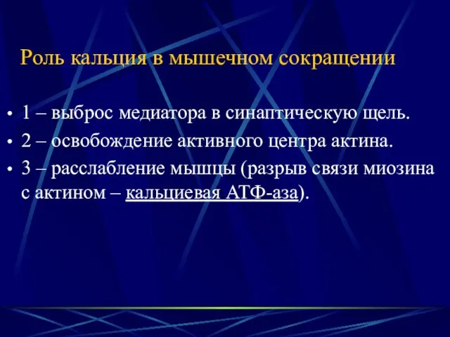 Роль кальция в мышечном сокращении 1 – выброс медиатора в синаптическую