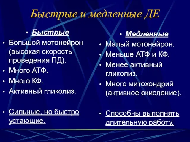 Быстрые и медленные ДЕ Быстрые Большой мотонейрон (высокая скорость проведения ПД).