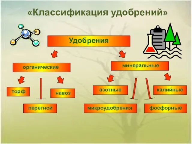 «Классификация удобрений» Удобрения органические минеральные торф навоз перегной азотные калийные фосфорные микроудобрения