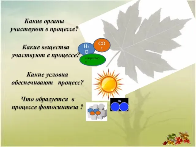 Какие органы участвуют в процессе? Какие вещества участвуют в процессе? Какие