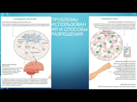 ПРОБЛЕМЫ ИСПОЛЬЗОВАНИЯ И СПОСОБЫ РАЗРЕШЕНИЯ