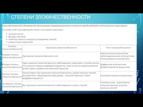 СТЕПЕНИ ЗЛОКАЧЕСТВЕННОСТИ Опухоли 1-й степени имеют низкую пролиферативную активность, зачастую дискретную