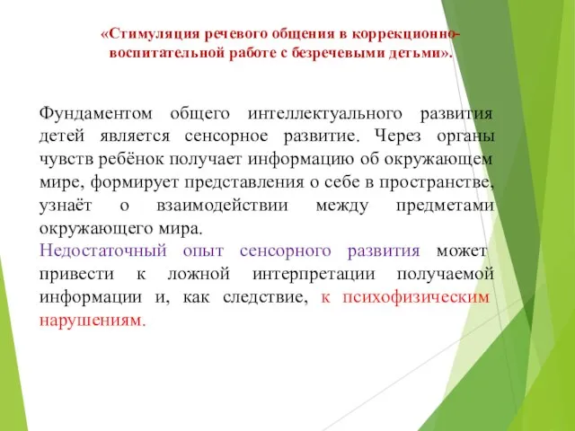 «Стимуляция речевого общения в коррекционно-воспитательной работе с безречевыми детьми». Фундаментом общего