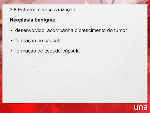 3.8 Estroma e vascularização Neoplasia benigna: desenvolvido, acompanha o crescimento do