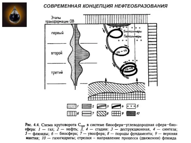 СОВРЕМЕННАЯ КОНЦЕПЦИЯ НЕФТЕОБРАЗОВАНИЯ