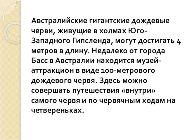 Австралийские гигантские дождевые черви, живущие в холмах Юго-Западного Гипсленда, могут достигать