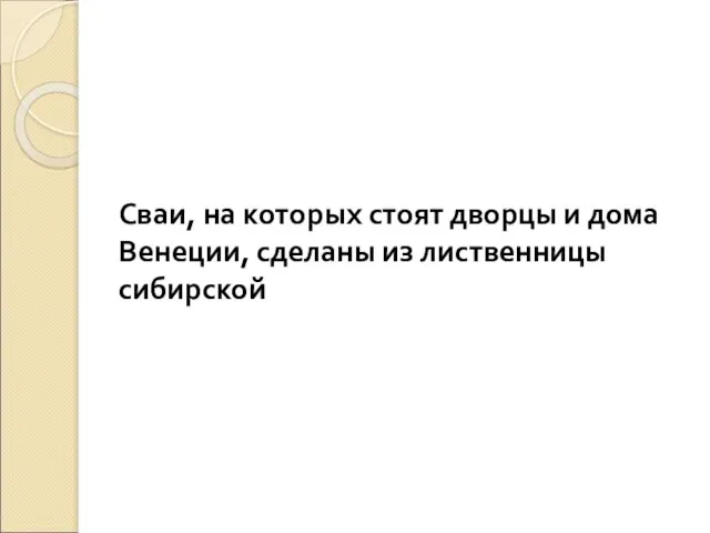 Сваи, на которых стоят дворцы и дома Венеции, сделаны из лиственницы сибирской