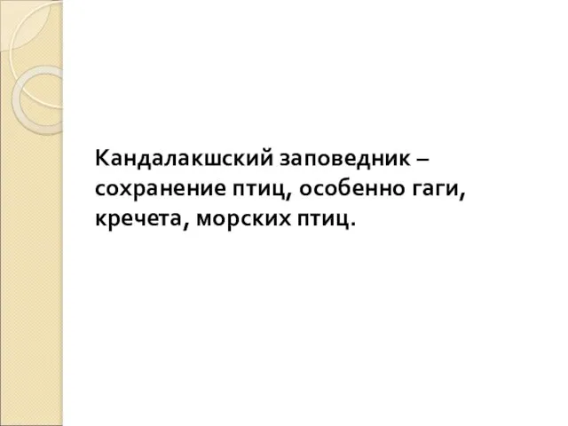 Кандалакшский заповедник – сохранение птиц, особенно гаги, кречета, морских птиц.