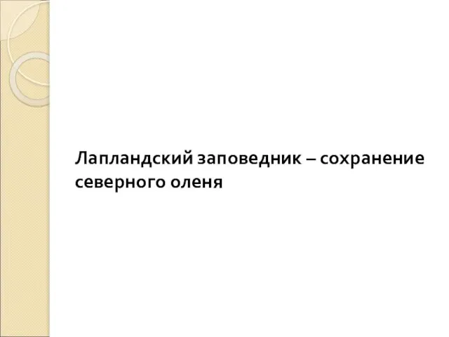 Лапландский заповедник – сохранение северного оленя