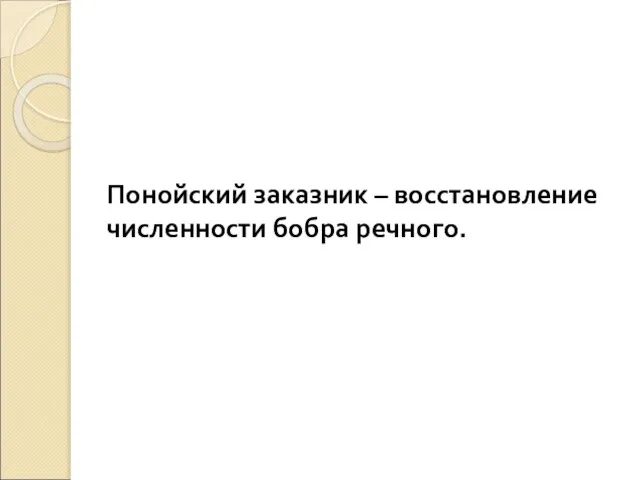 Понойский заказник – восстановление численности бобра речного.