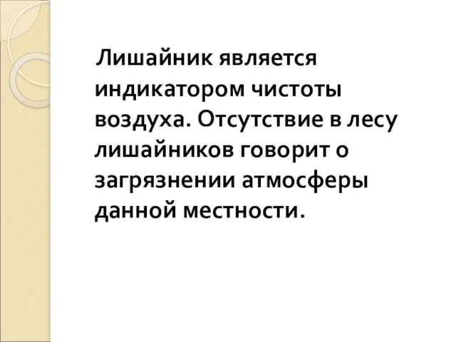 Лишайник является индикатором чистоты воздуха. Отсутствие в лесу лишайников говорит о загрязнении атмосферы данной местности.