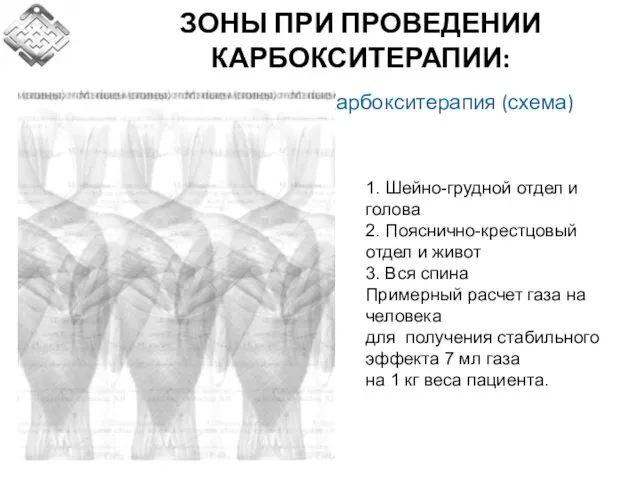 ЗОНЫ ПРИ ПРОВЕДЕНИИ КАРБОКСИТЕРАПИИ: 1. Шейно-грудной отдел и голова 2. Пояснично-крестцовый