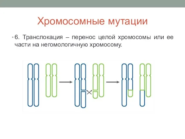 Хромосомные мутации 6. Транслокация – перенос целой хромосомы или ее части на негомологичную хромосому.