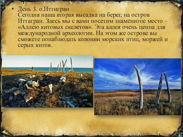 День 3. о.Иттигран Сегодня наша вторая высадка на берег, на остров