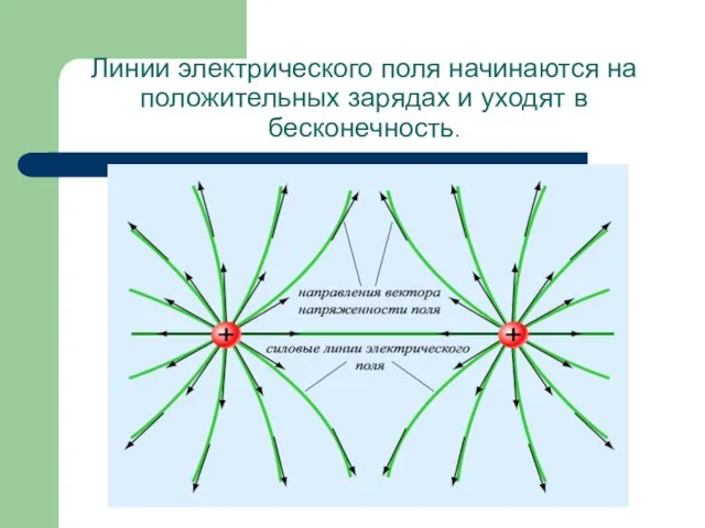 Линии электрического поля начинаются на положительных зарядах и уходят в бесконечность.